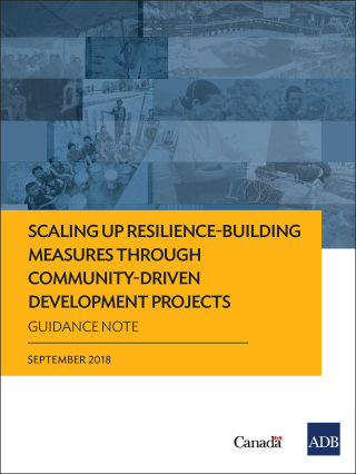 Imagen de portada: Scaling Up Resilience-Building Measures through Community-Driven Development Projects 9789292613280