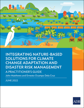 Imagen de portada: Integrating Nature-Based Solutions for Climate Change Adaptation and Disaster Risk Management 9789292695330