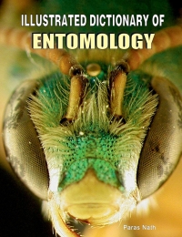 Cover image: Illustrated Dictionary of Entomology 9788189422561