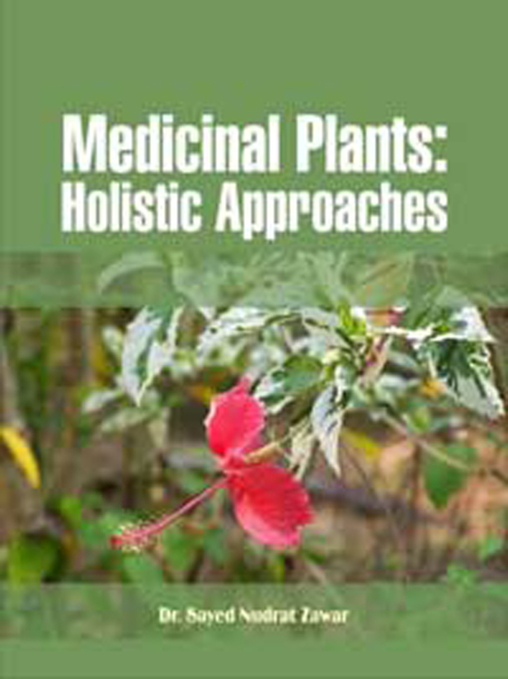 Medicinal Plants: Holistic Approaches