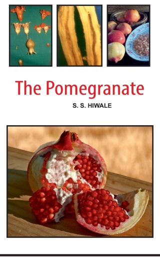Cover image: Pomegranate 9789380235158