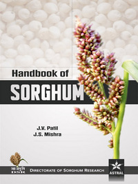 Cover image: Handbook of Sorghum 9789351243250