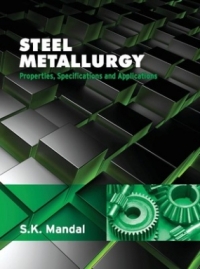 Imagen de portada: Steel Metallurgy 9789351342717