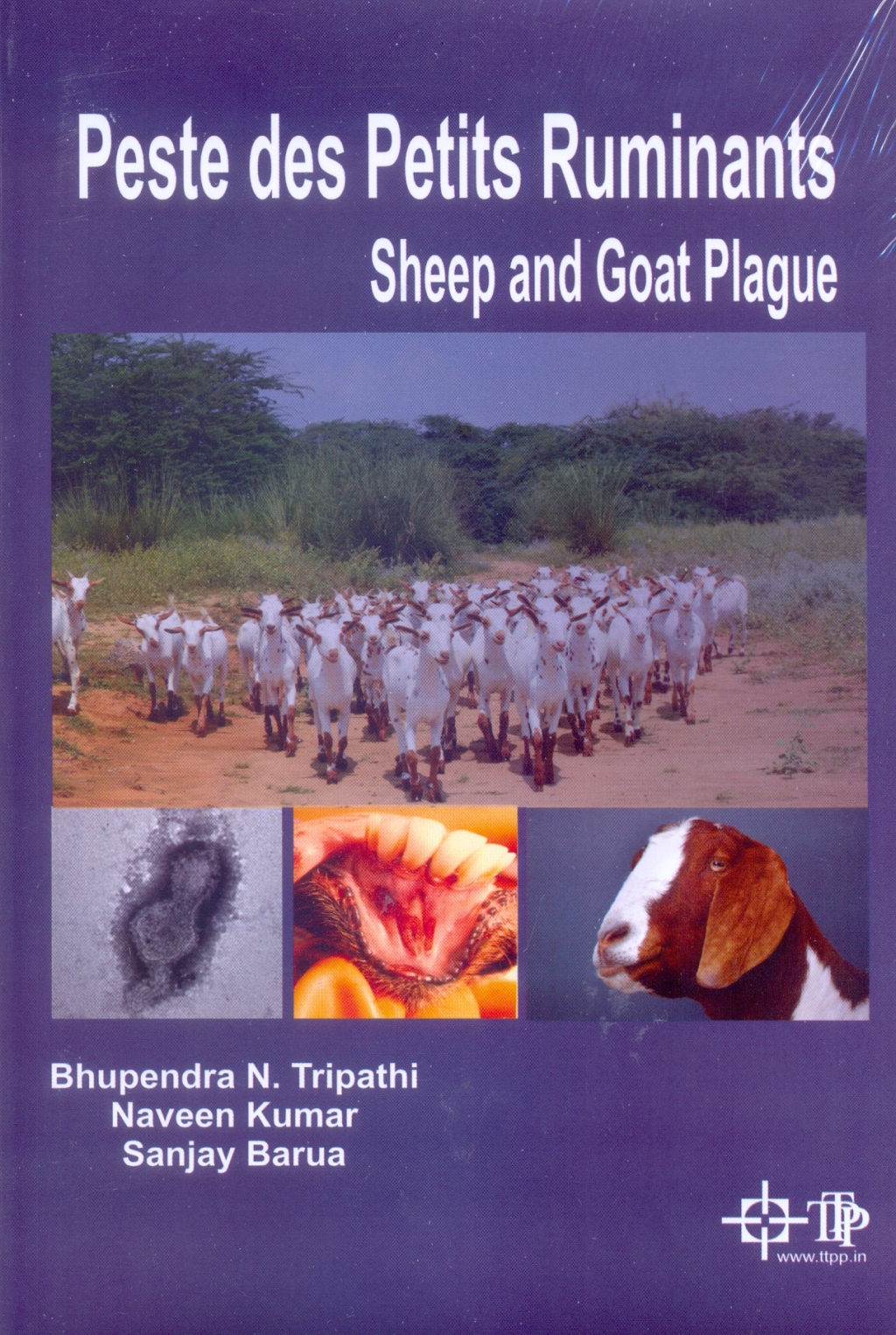 Peste Des Petits Ruminants : Sheep And Goat Plague