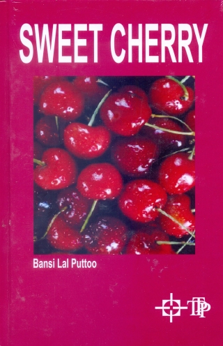 Cover image: Sweet Cherry 9789354142901