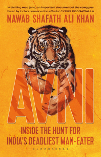 صورة الغلاف: Avni 1st edition