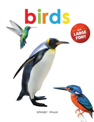 Cover image: Birds 9789390183852