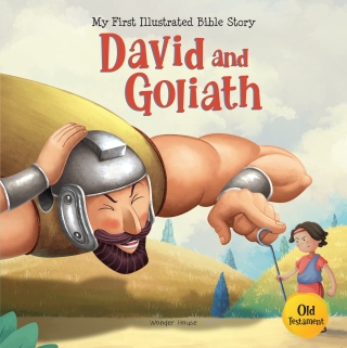 Cover image: David and Goliath 9789354407451