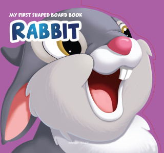 Cover image: Rabbit