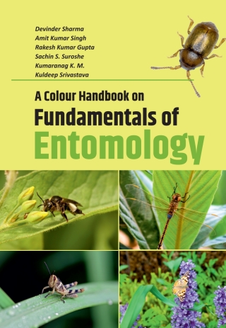 Imagen de portada: A Colour Handbook on Fundamentals of Entomology 1st edition 9789358871241