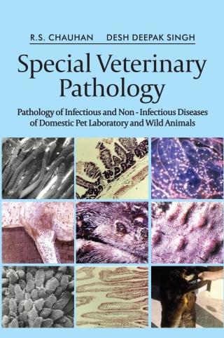Cover image: Special Veterinary Pathology: Pathology of Infectious and Non - Infectious Diseases of Domestic Pet, Laboratory and Wild Animals 1st edition 9789358879803