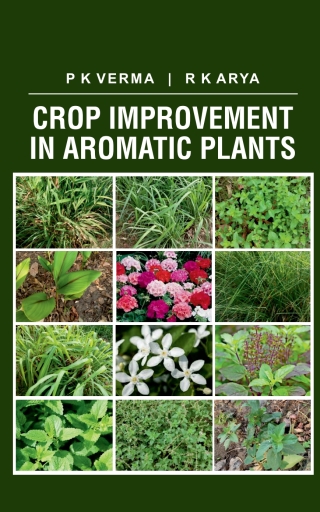 Cover image: Crop Improvement in Aromatic Plants 1st edition 9789358873580