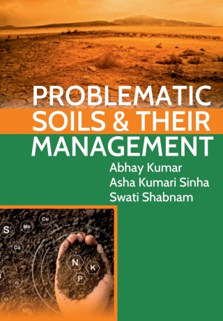 Imagen de portada: Problematic Soils and Their Management 1st edition 9789390591381