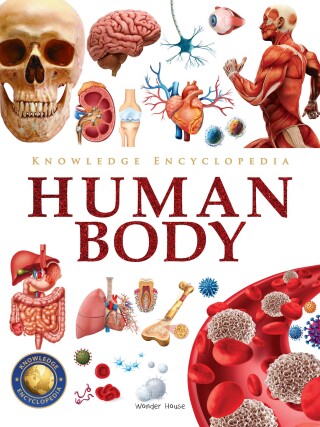 Cover image: Knowledge Encyclopedia - Human Body 9789354404115