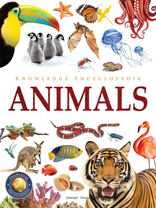 Cover image: Knowledge Encyclopedia - Animals 9789354403958