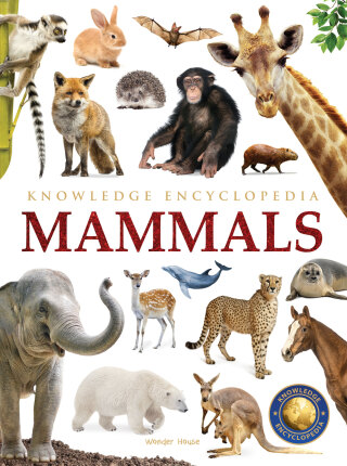Cover image: Animals - Mammals : Knowledge Encyclopedia For Children