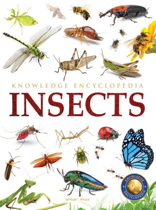 Cover image: Animals - Insects : Knowledge Encyclopedia For Children