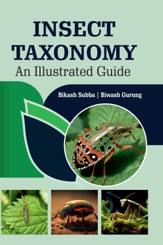 Cover image: Insect Taxonomy: An Illustrated Guide 1st edition 9789367550038