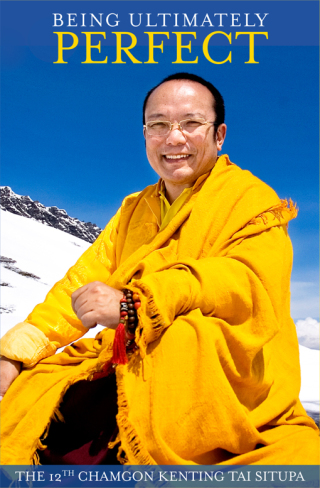 Cover image: Being Ultimately Perfect 9789380480763