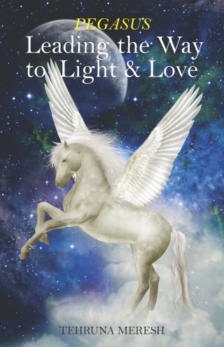 Cover image: Pegasus 9789381431764