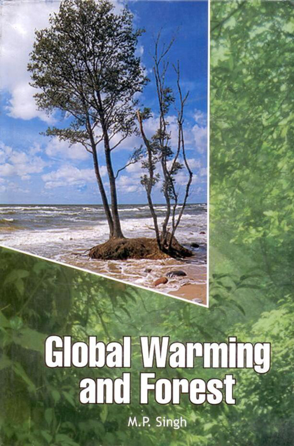 Global Warming and Forest