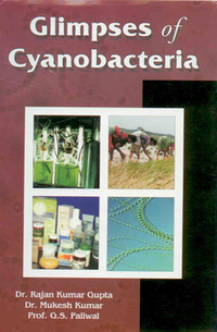 Cover image: Glimpses of Cyanobacteria 9788170354352