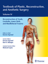 Cover image: Textbook of Plastic, Reconstructive, and Aesthetic Surgery, Vol 4 1st edition 9789388257718