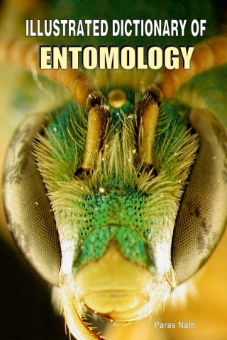 Cover image: Illustrated Dictionary of Entomology 1st edition 9788189422561
