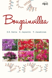 Cover image: Bougainvillea 1st edition 9789385516702