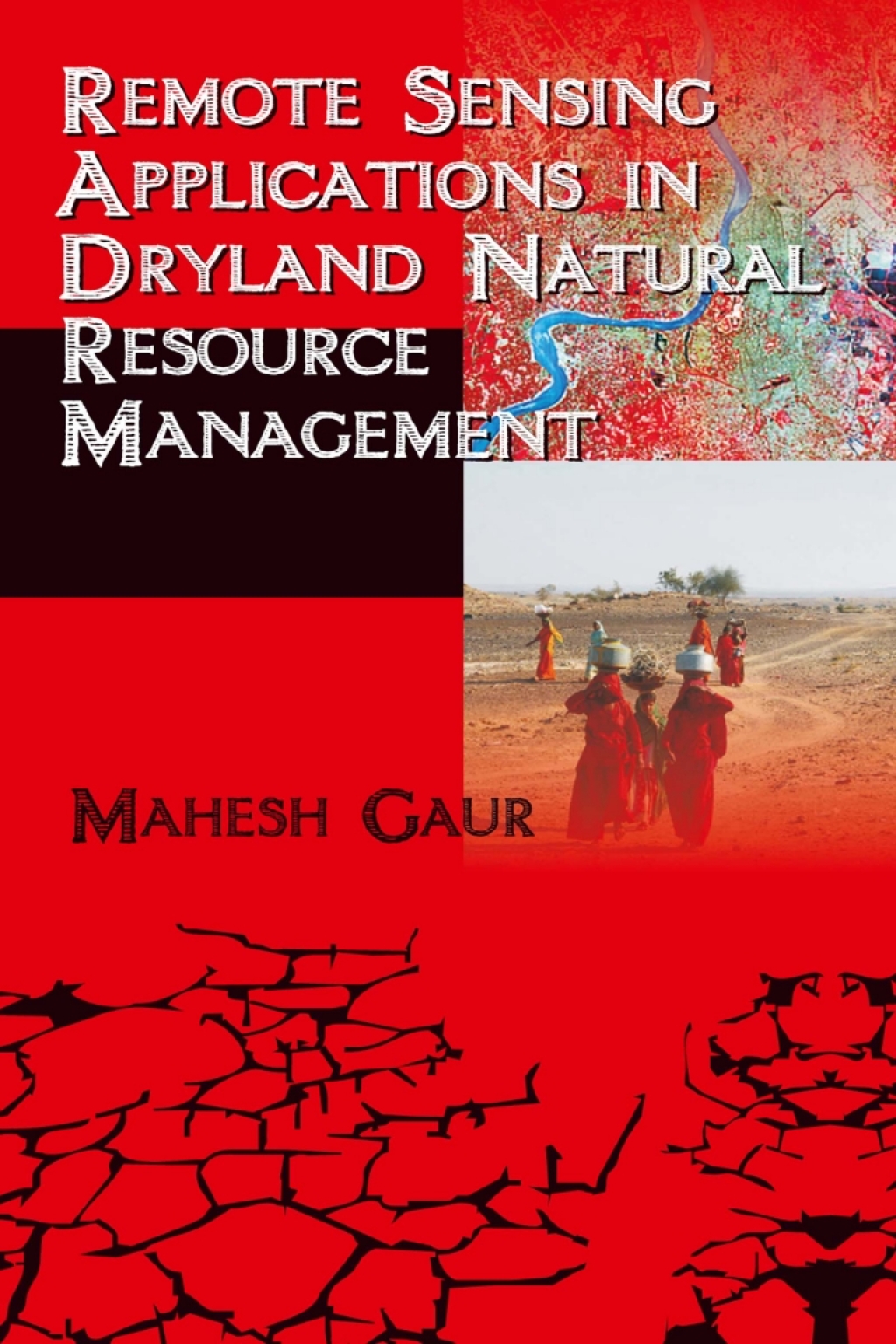 Remote Sensing Applications in Dryland Natural Resource Management 1st Edition