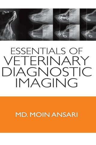 Cover image: Essentials of Veterinary Diagnostic Imaging 1st edition 9789383305148