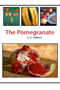 Imagen de portada: The Pomegranate 1st edition 9789380235158