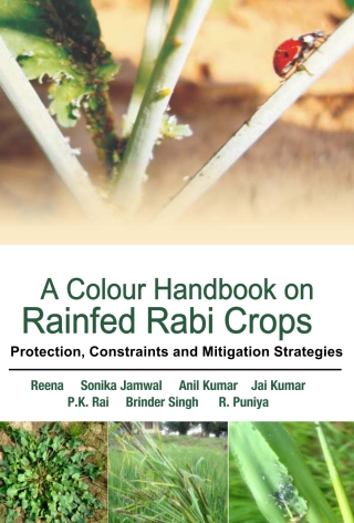 Immagine di copertina: A Colour Handbook on Rainfed Rabi Crops: Protection,Constraints and Mitigation Strategies 1st edition 9789386546692