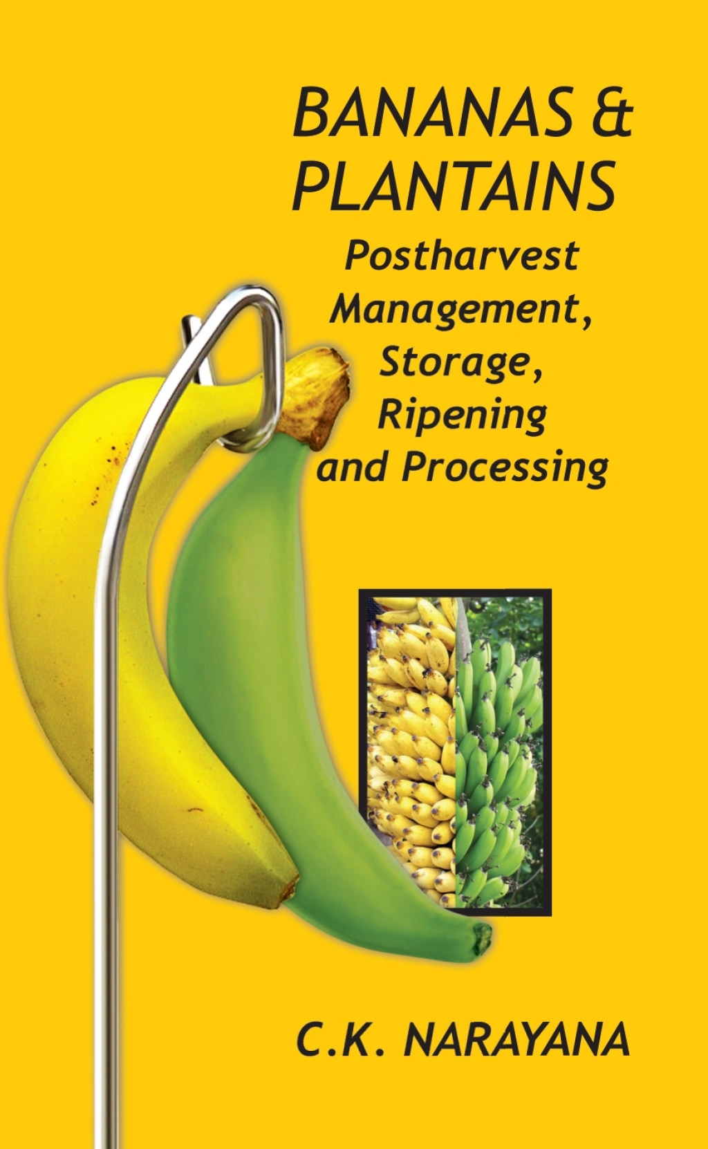 Bananas and Plantains: Postharvest Management,Storage,Ripening and Processing 1st Edition
