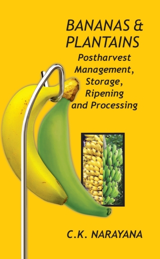 Cover image: Bananas and Plantains: Postharvest Management,Storage,Ripening and Processing 1st edition 9789383305452