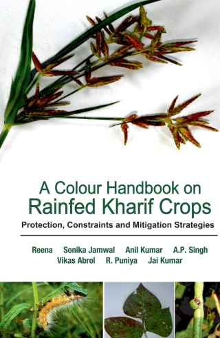 Imagen de portada: A Colour Handbook on Rainfed Kharif Crops: Protection, Constraints and Mitigation Strategies 1st edition 9789385516320