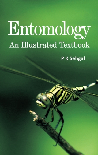 Cover image: Entomology: An Illustrated Textbook 1st edition 9789395763950