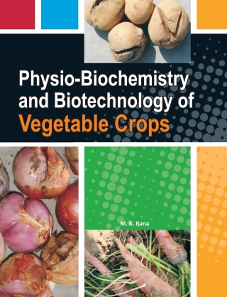 Imagen de portada: Physio-Biochemistry and Biotechnology of Vegetable Crops 1st edition 9789380235318