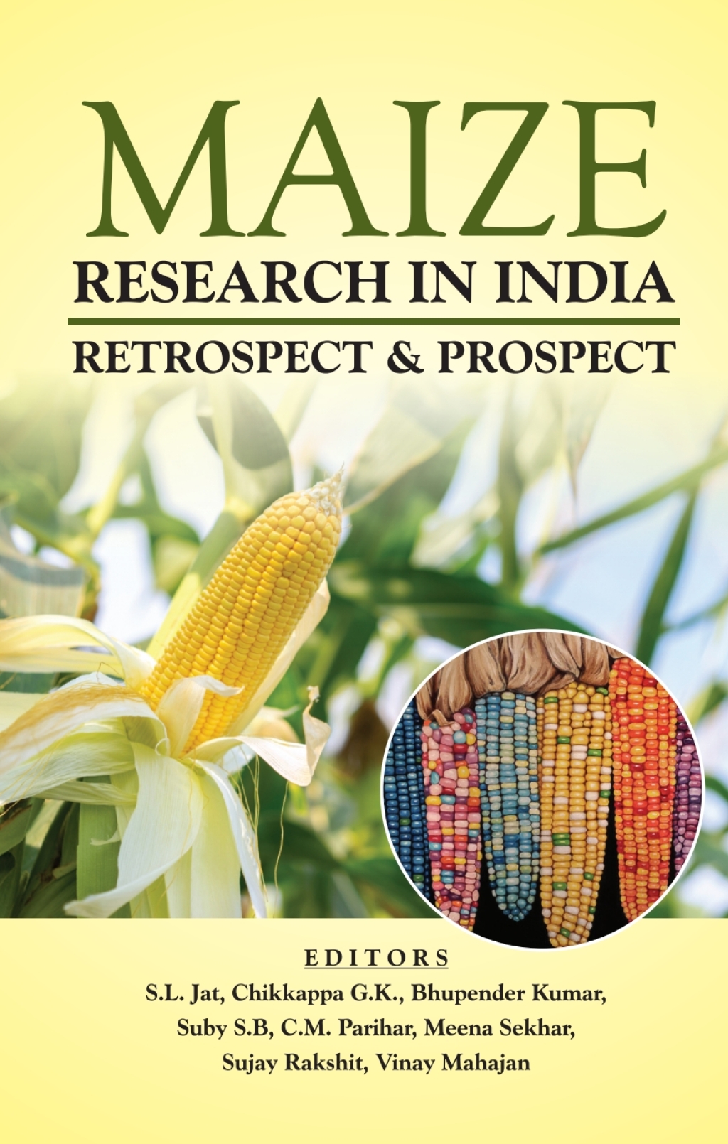 Maize Research in India 1st Edition