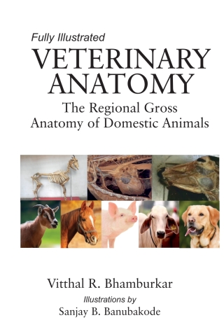 Cover image: Veterinary Anatomy: The Regional Gross Anatomy of Domestic Animals (Part I & II in Single Binding) 1st edition 9789386546487