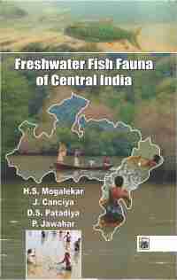 Imagen de portada: Freshwater Fish Fauna Of Central India 9789390212996