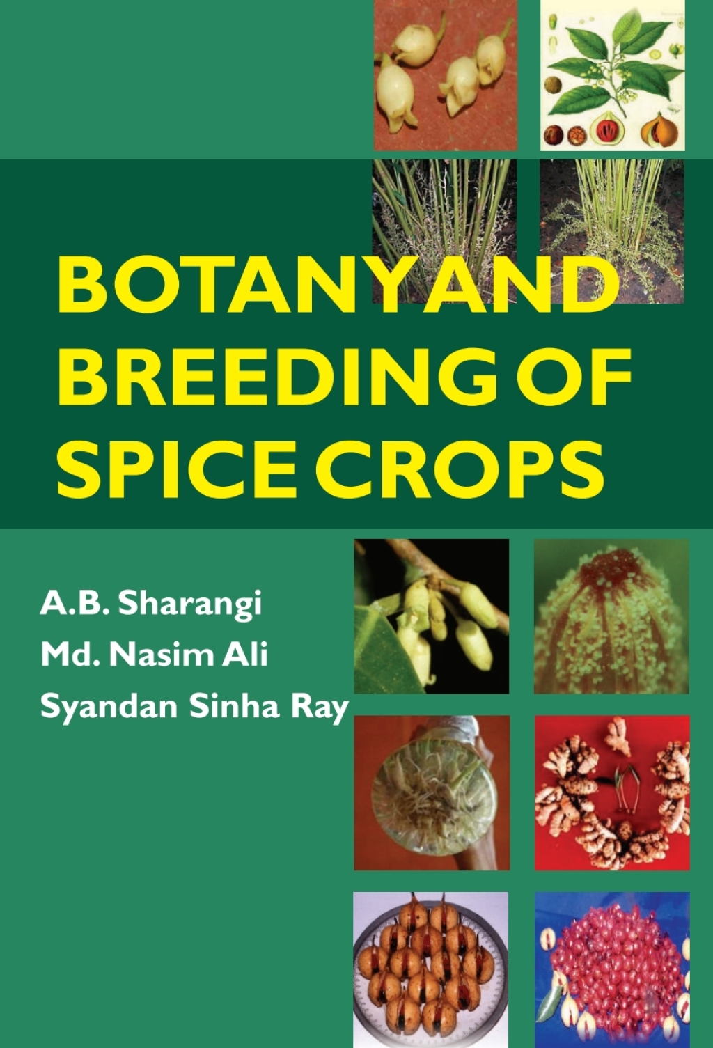 Botany and Breeding of Spice Crops 1st Edition