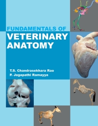 表紙画像: Fundamentals of Veterinary Anatomy 1st edition 9789390175109