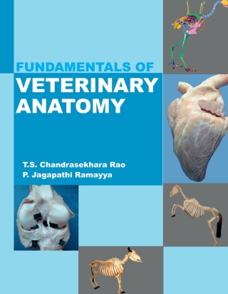 Cover image: Fundamentals of Veterinary Anatomy 1st edition 9789390175109