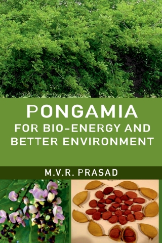 Cover image: Pongamia for Bio-Energy and Better Environment 1st edition 9789390591480