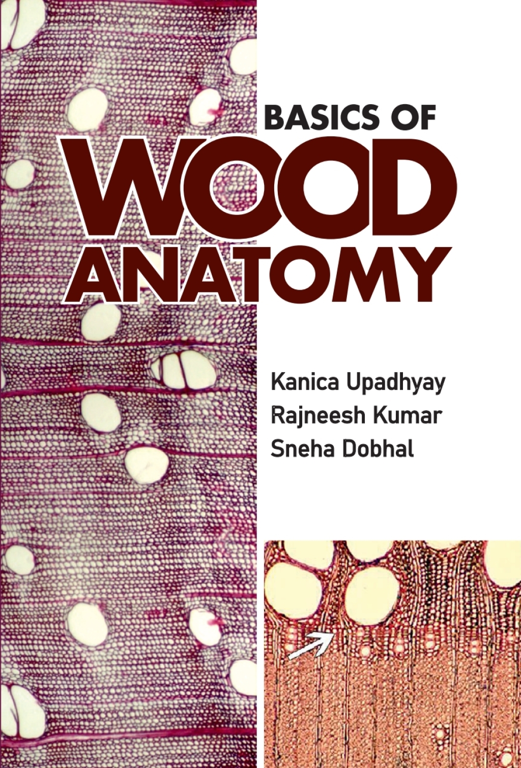 Basics of Wood Anatomy 1st Edition