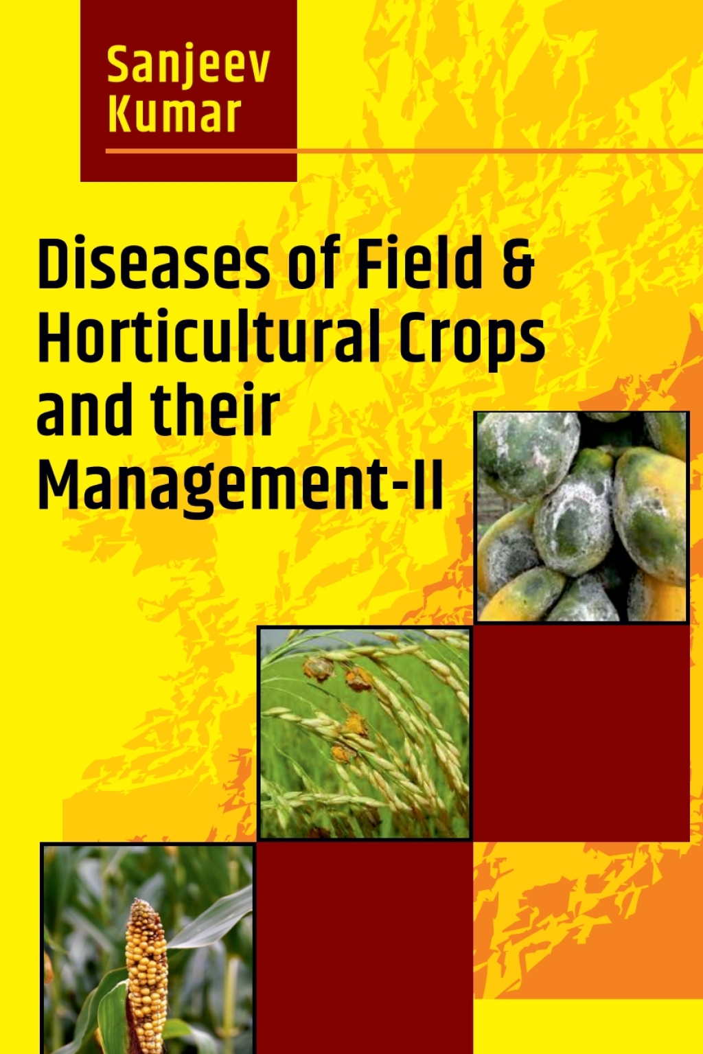 ISBN 9789391383916