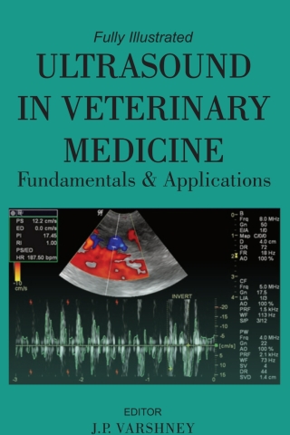 Cover image: Ultrasound in Veterinary Medicine: Fundamentals and Applications: Fully Illustrated 1st edition 9789391383046