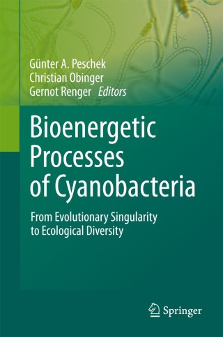 Cover image: Bioenergetic Processes of Cyanobacteria 1st edition 9789400703520