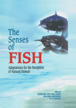 Cover image: The Senses of Fish 1st edition 9781402018206